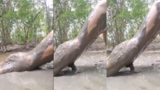 Cowok Kesepian Pecandu Ngewe Lagi Main Lumpur Di Video Xxx