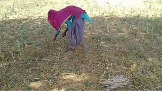 Desi Indian Boyfriend Ngebut Di Sawah, Gebetannya Makin Liar Digaruk